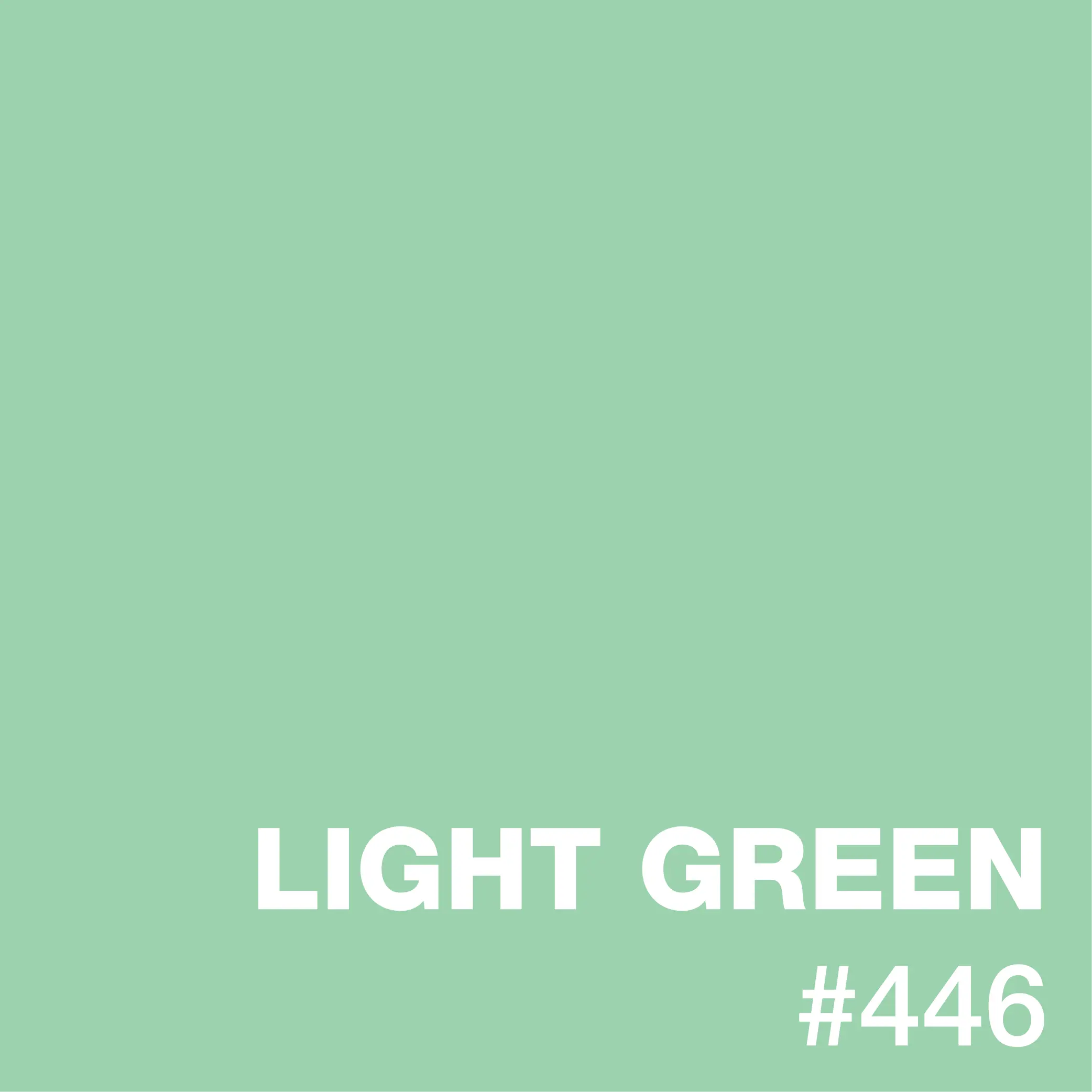 Light_Green_Epoxy_Flooring_Color