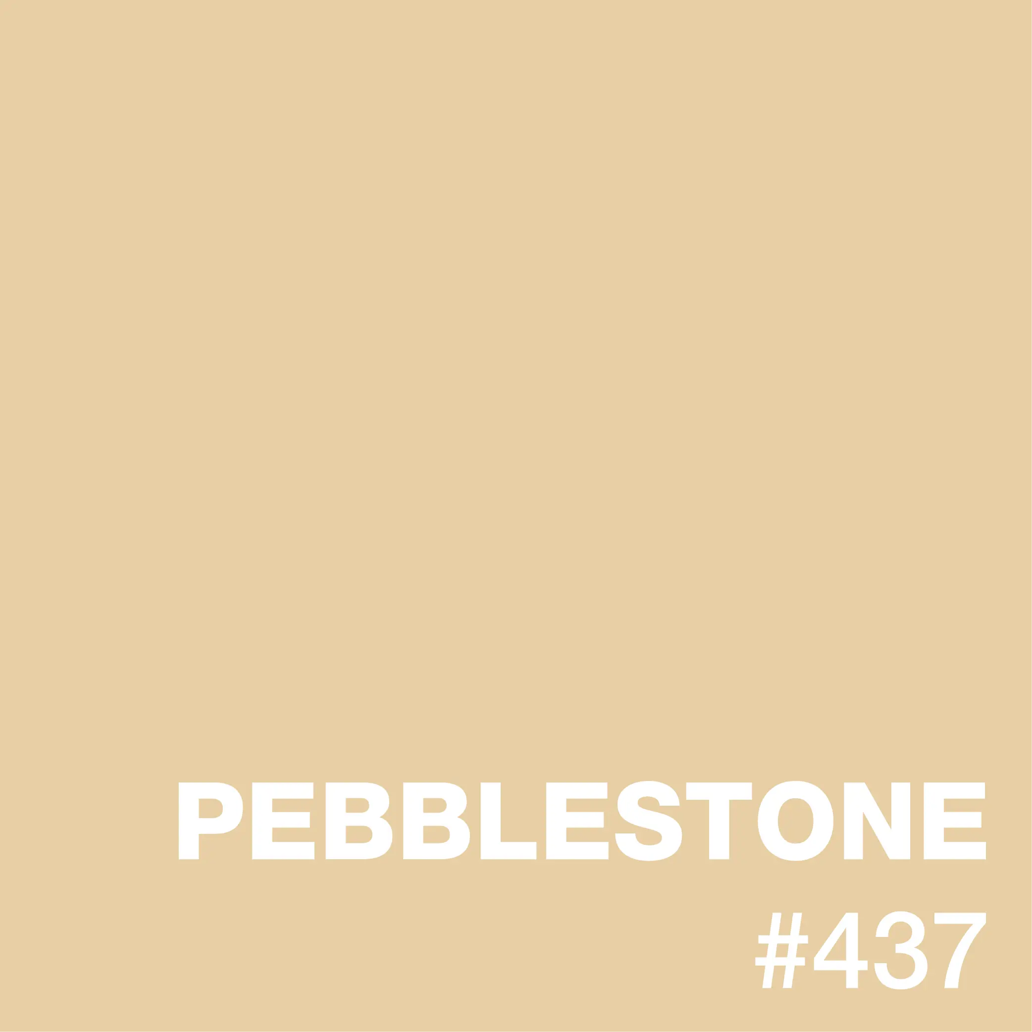 Pebble_Stone_Epoxy_Flooring_Color