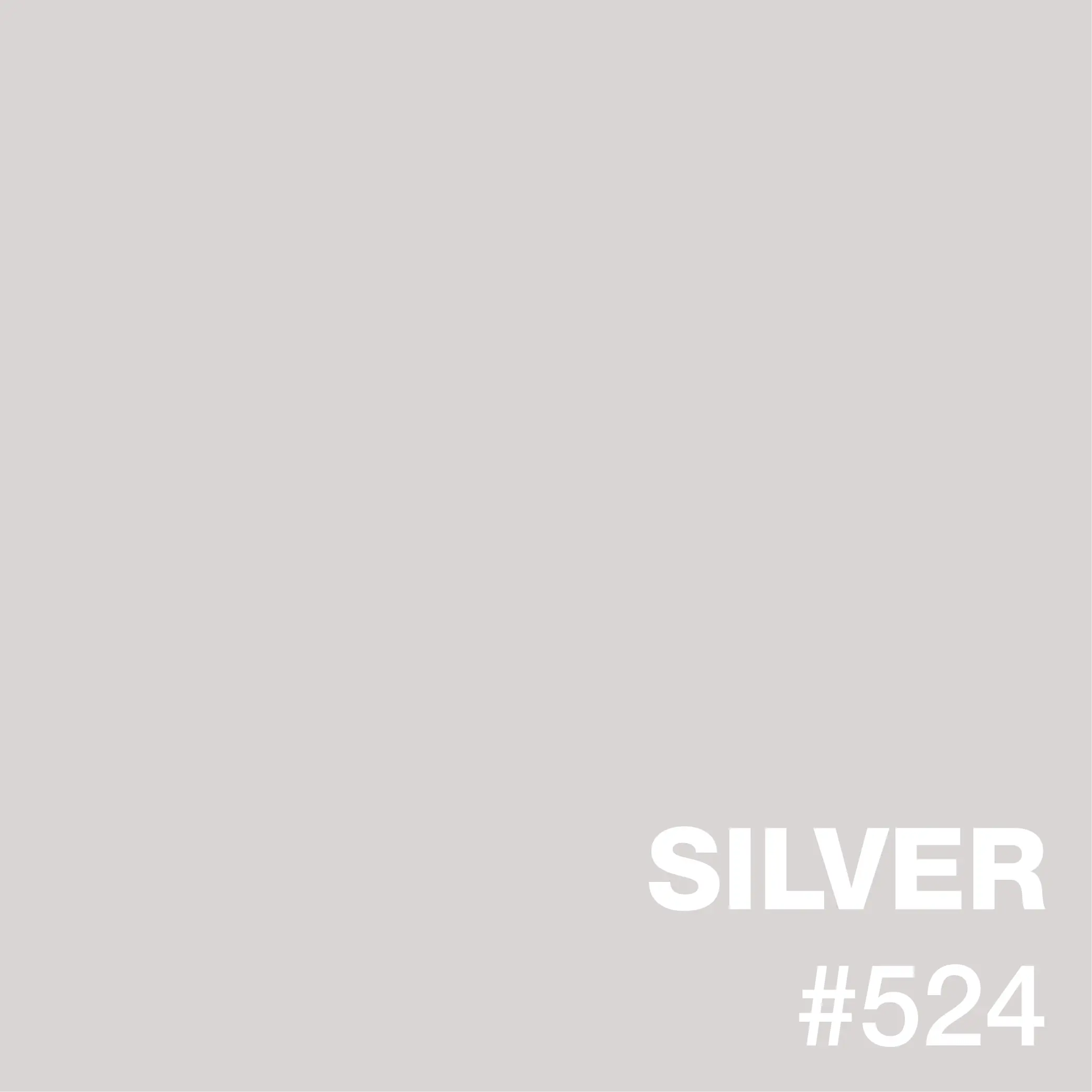 Silver_Epoxy_Flooring_Color